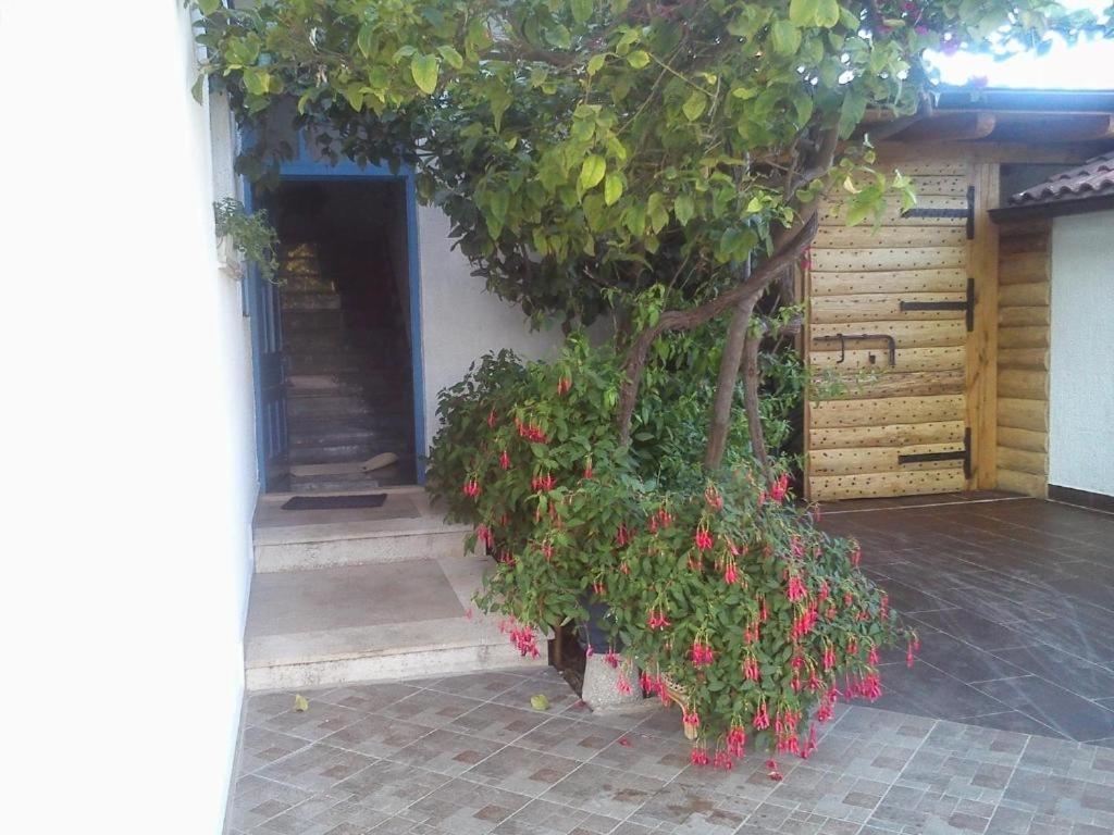 Apartman In With Sea View, Balcony, Air Conditioning, Wifi 3560-4